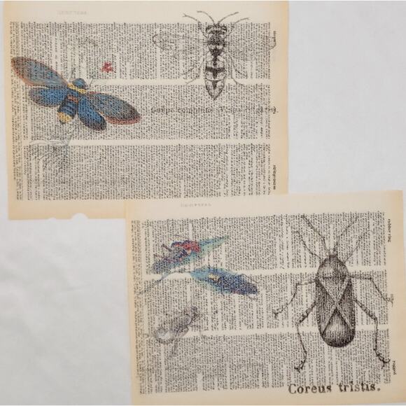Insect Dictionary Prints, Colorful Bug Prints, Book Page Prints - Picture 2 of 6